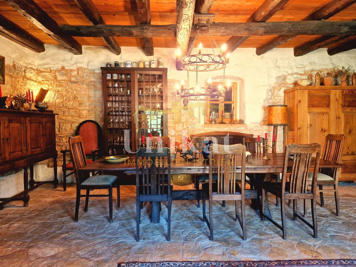 Avtentično posestvo s kamnito hišo in velikim zemljiščem